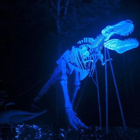 Baumhotel Styrassic Park 3*