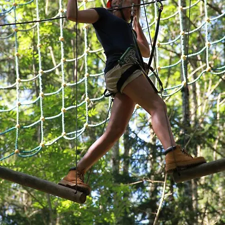 Baumhotel Styrassic Park Bernreith (Styria)