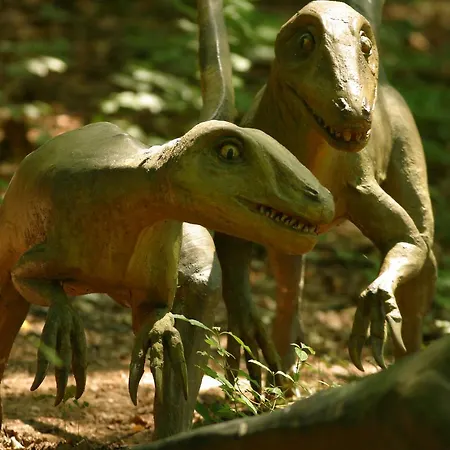 Hotel Baumhotel Styrassic Park